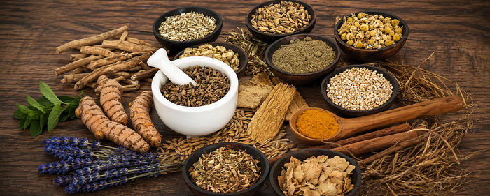 Ayurvedic Treatment for Digestion: A Complete Guide to Natural Gut Health