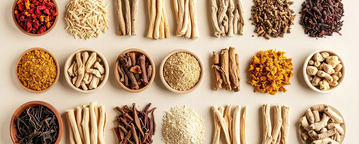 Adaptogens Meaning: What They Are and How They Work
