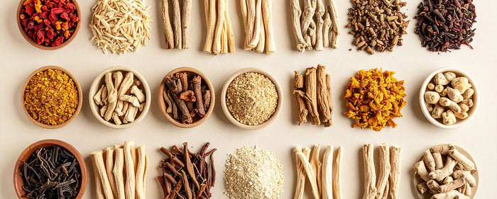 Adaptogens Meaning: What They Are and How They Work