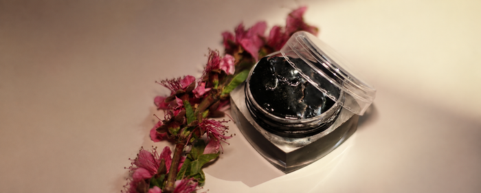 Shilajit for Women: A Complete Buying and Usage Guide